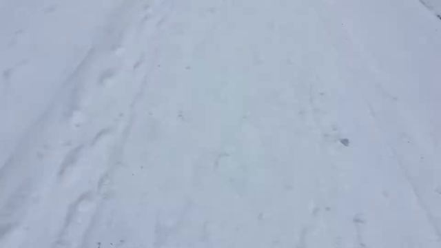 Снегопад в Мангистау (Snowfall In Mangistau)