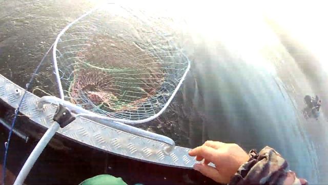 ЛОВЛЯ ЛЕЩА! ПОПАЛИ НА ЖОР!ЛОВЛЯ НА ВОЛГЕ смотреть онлайн