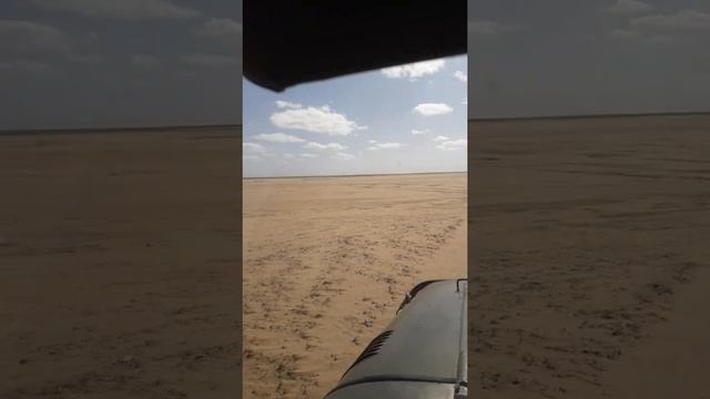Пустыни ногайской степи. смотреть онлайн