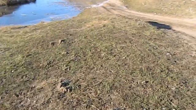 УАЗ и три мушкетëра... смотреть онлайн