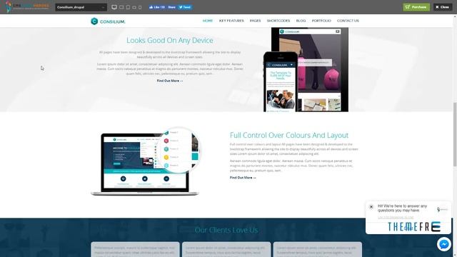 Consilium - Multipurpose Creative Drupal Theme Truman Zachery смотреть онлайн