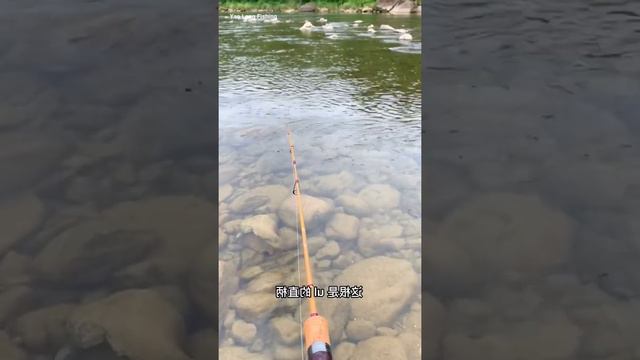 Best Asian Fishing 🐟 It took a lot of effort to work, thank you very much for everyone's support # смотреть онлайн