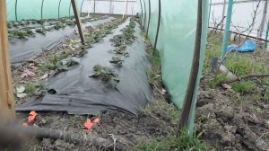 Как установить дуги балагана. Кресты из арматуры.