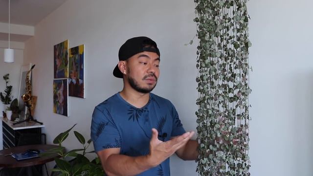 How to Grow Long, Full and Lush String of Hearts | Indoor Plant Care Tips смотреть онлайн