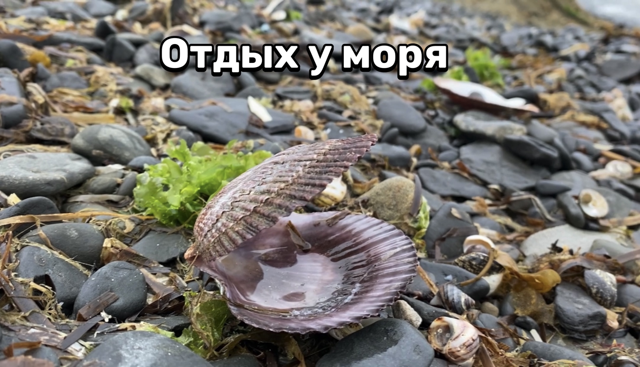 День рождения. Шум морского прибоя. АСМР/ASMR Дедушка с бабушкой гоняют на велосипедах. 12 мая 2024 смотреть онлайн