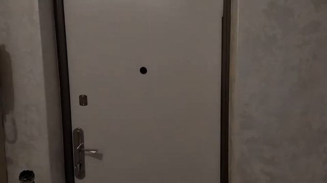 Замена двп в металлических дверях. Это возможно? смотреть онлайн