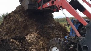 Чистим навоз трактором МТЗ-82