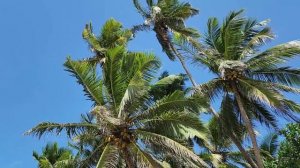 Хиккадува, Шри-Ланка