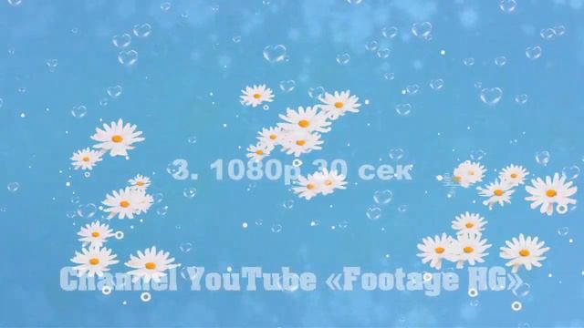 Ромашки Footage | Background (3) 1080р смотреть онлайн