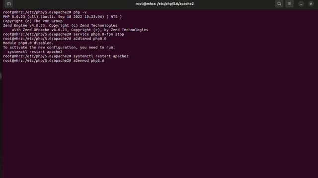 Change PHP from version 8.0 to version 5.6 in ubuntu 22.04 смотреть онлайн