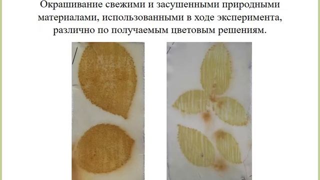 презентация дипломной работы Маковецкая Евгения смотреть онлайн