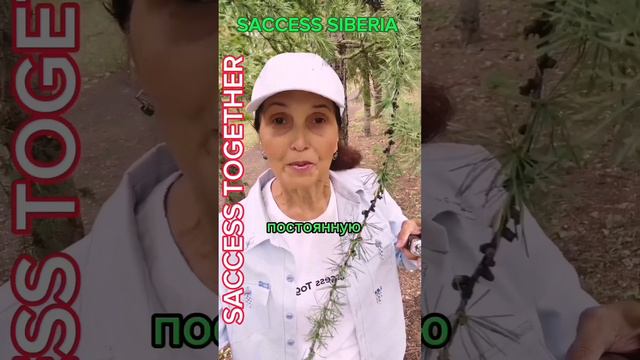 8 9373534637 Что означает GMP?? смотреть онлайн