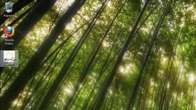 Реальный заработок на форекс для новичков и начинающих тредеров