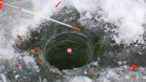 Зимняя рыбалка Ловля плотвы на удочку с зимним поплавком и мормышку плющенка