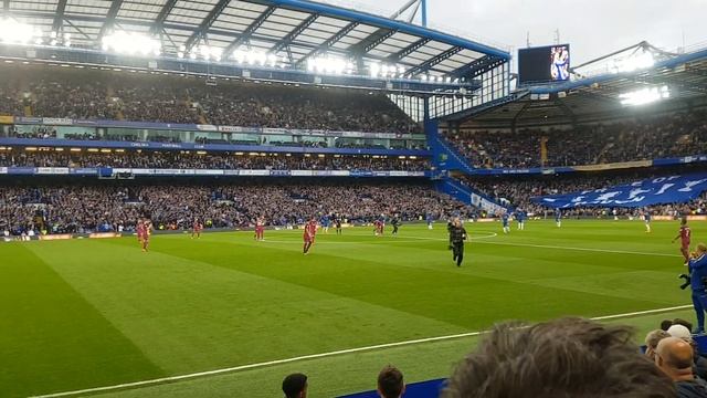 CHELSEA vs MAN.CITY. blue is the colour. Stamford Bridge смотреть онлайн