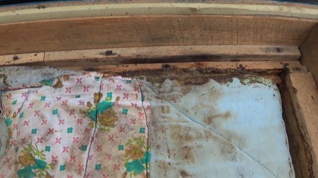 Вот так зимуют мои ОТШЕЛЬНИКИ! 30 января на дворе а клубы где?Как по мне очень даже хорошая зимовка смотреть онлайн