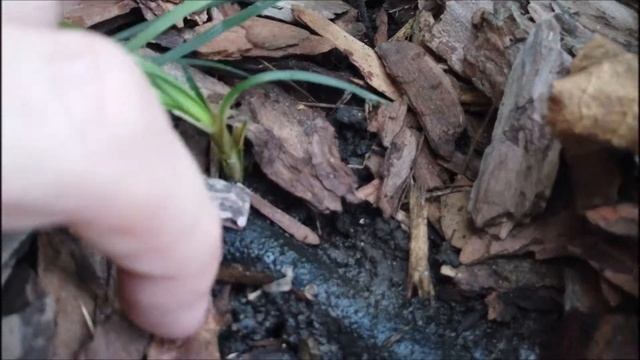 Устройство Системы Автоматического Полива смотреть онлайн