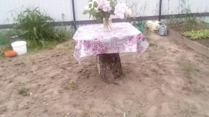 столик из старого пня