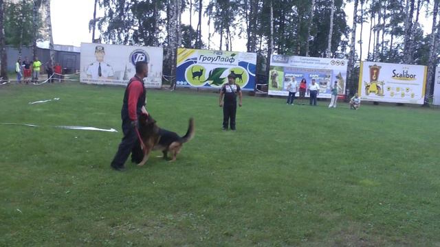 № 119.Фактор Уран с Лесного 12 отлично, 1 место на "ПРОВЕРКЕ ПОВЕДЕНИЯ" +++ смотреть онлайн