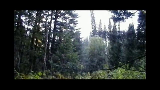 Аномальный Лес или проделки Лешего?! смотреть онлайн