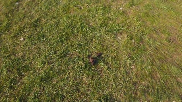 PLACES [ep 6] Приморский район. Улицы Долгоозерная, Вербная, Коломяги, Удельная смотреть онлайн