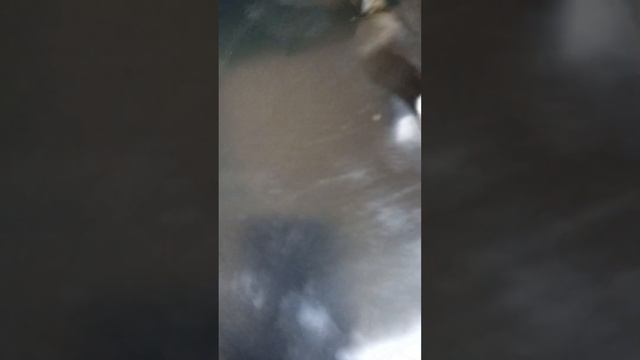 Удобства в доме