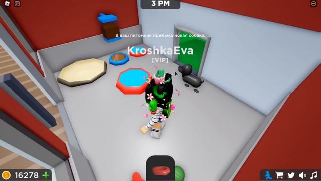 НЕВЕРОЯТНО РАЗБОГАТЕЛА, НО МЕНЯ ВЗЯЛИ В РАБСТВО! Roblox Pet Store Tycoon! смотреть онлайн