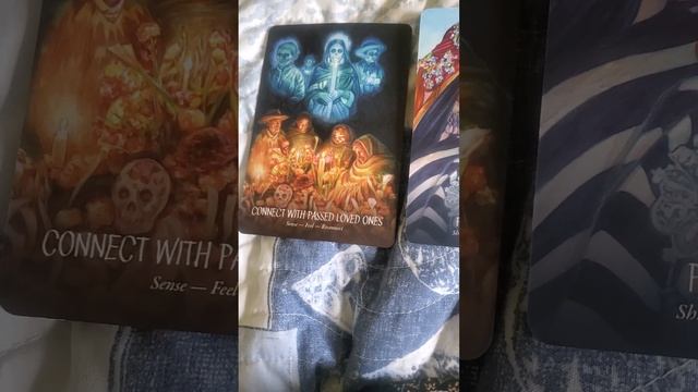 ancestors spirit oracle 6/5/23 смотреть онлайн