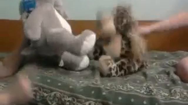 Звериное чпоканье! смотреть онлайн