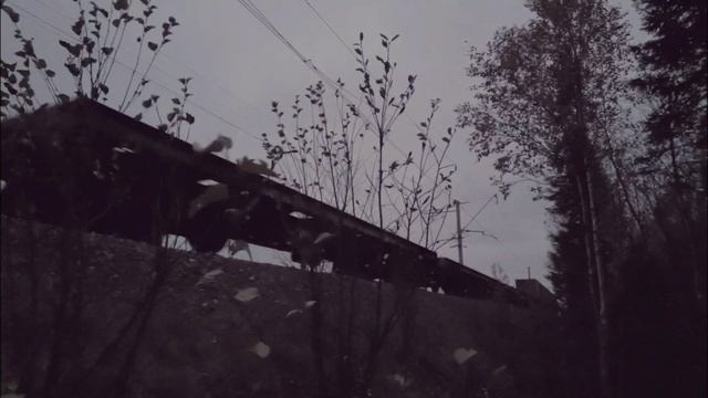 Шла за грибами, бац - ПОЕЗД! смотреть онлайн