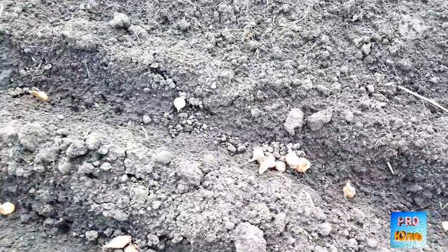 VLOG/Утренний кофе☕🍰/долгожданная🤗 покупка в Магните/завёлся вредитель🤔/водные процедуры🌊🐦 смотреть онлайн