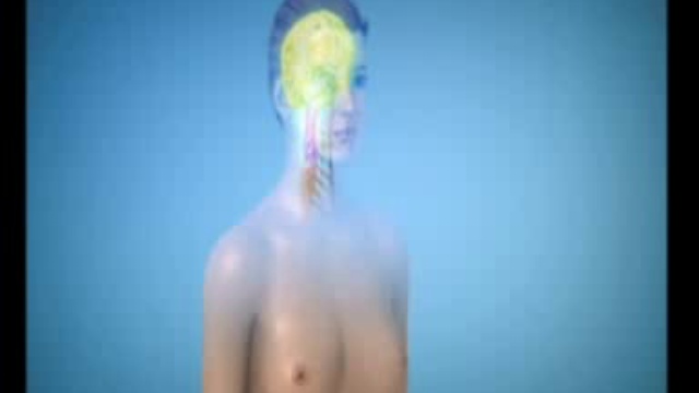 Ты: инструкция к применению. Женская грудь смотреть онлайн