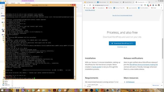 PRUEBA PILOTO UBUNTU SERVER, APACHE, WORDPRESS смотреть онлайн