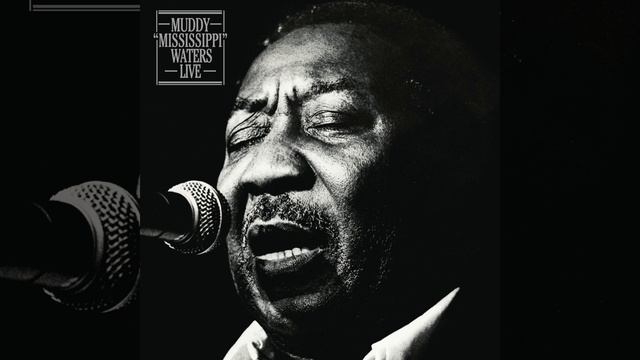 Streamline Woman (Live) смотреть онлайн