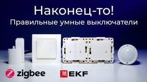 [#78] Zigbee-выключатели под российский стандарт