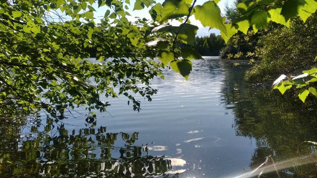 Почему бог выгнал Адама и Еву из рая? смотреть онлайн