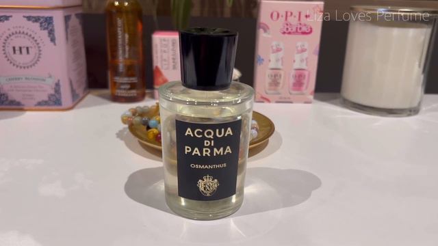Niche Perfumes in my Collection смотреть онлайн