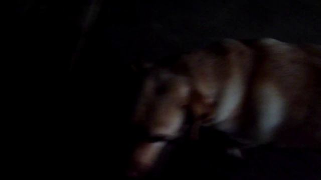 Ремонт мотоцикла УРАЛ Ч.2, ЦПГ. Снимаем поршневую смотреть онлайн