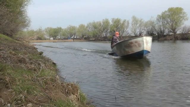 ПОШЛА ВОБЛА В Астрахани начала ловиться вобла Рыбалка 2022 смотреть онлайн