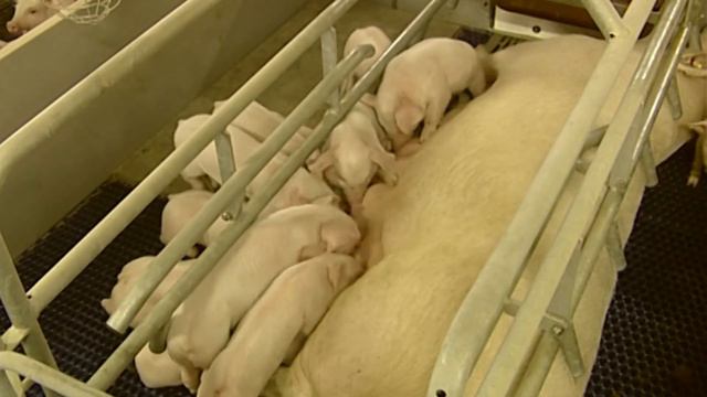 SKU part1 смотреть онлайн