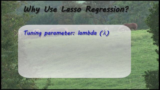 What is Lasso Regression? - Machine Learning for Data Analysis смотреть онлайн
