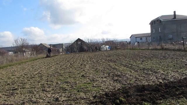 Культивация огорода под посадку картошки