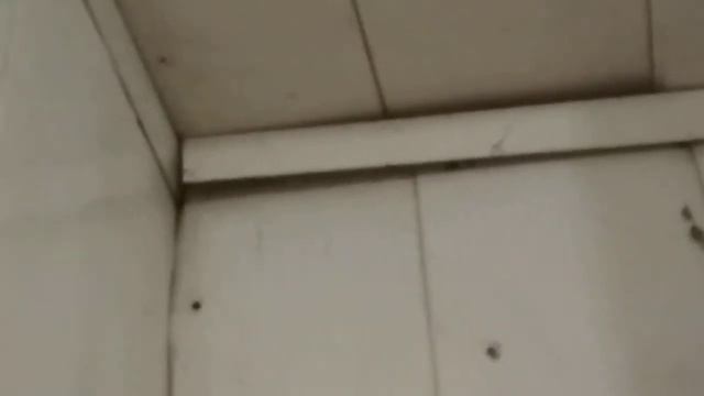 У меня дома завелся сверчек смотреть онлайн