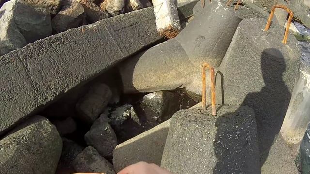 Ловим саргана на блесны,клёв рыбы собак. смотреть онлайн