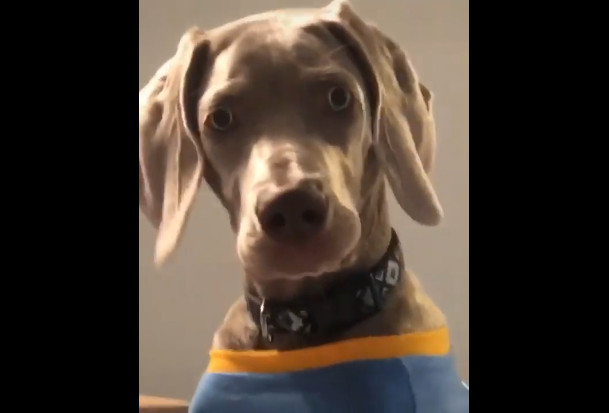 Ты чё? смотреть онлайн