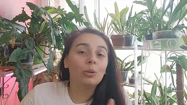 Гигиена листьев смотреть онлайн