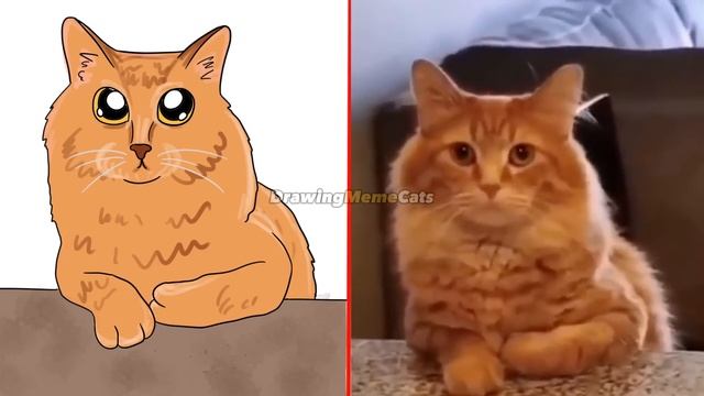 ?Cat Memes: Skibidi Cat Toilet and Funniest Dogs (updated)? Trending Funny Animals ? смотреть онлайн