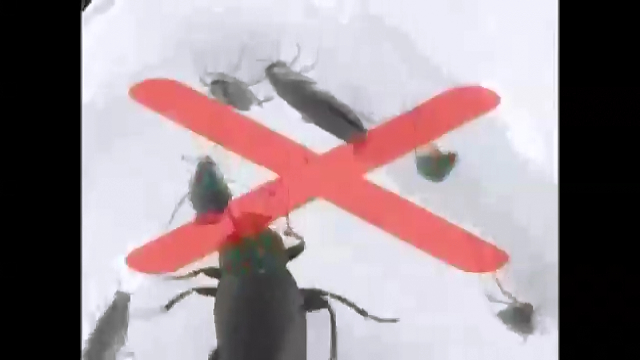 REST-REJECT УЛЬТРАЗВУКОВОЙ ОТПУГИВАТЕЛЬ ГРЫЗУНОВ И ТАРАКАНОВ смотреть онлайн