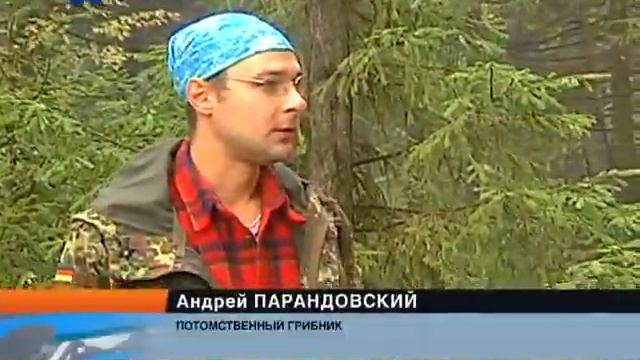 Грибник смотреть онлайн