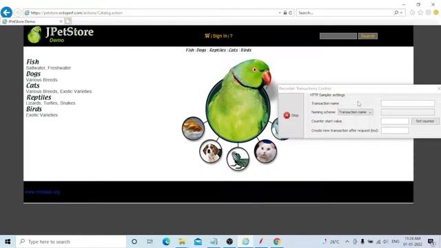 HOW TO USE RECORDING TEMPLATES IN APACHE JMETER VIDEO 2 смотреть онлайн